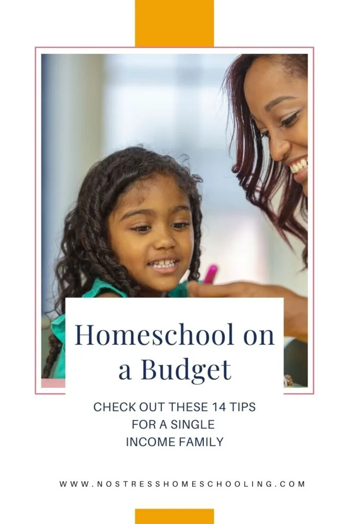 How Much Does Online Homeschooling Cost